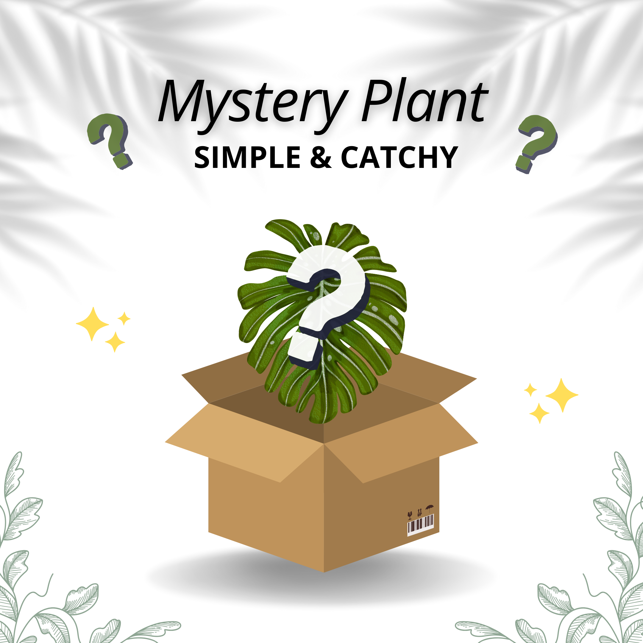 Mystery Plant - Simple & Catchy 🌿 - Scindapsus Borneo