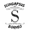 Scindapsus Borneo