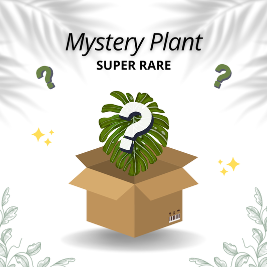 Mystery Plant - Super Rare